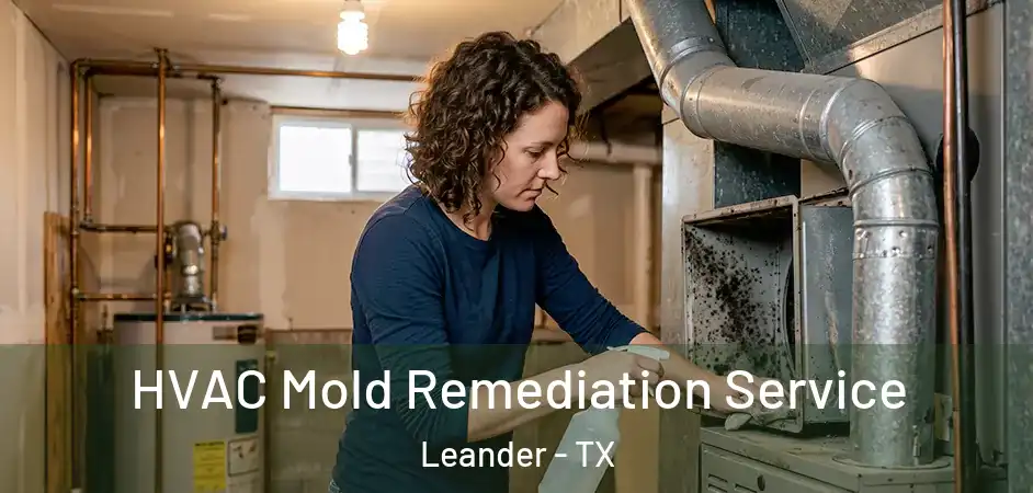  HVAC Mold Remediation Service Leander - TX