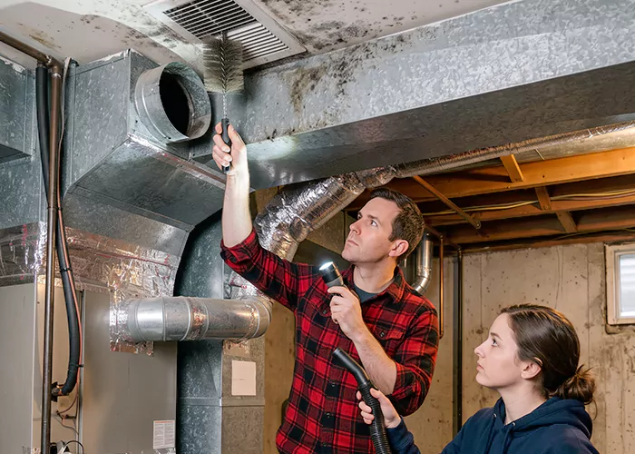 Premier HVAC Mold Remediation Company in Leander